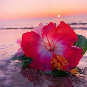 Meet your Posher, Nina